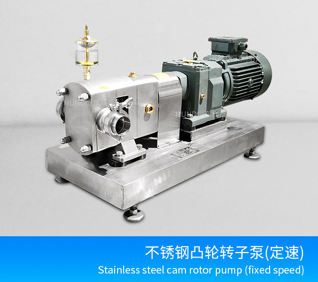 Stainless steel rotor pump (variable speed)
